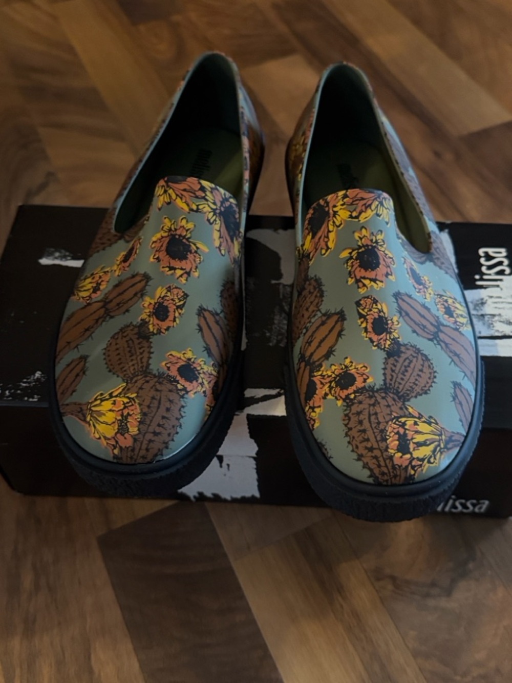 Melissa black and white graphic with blue accent